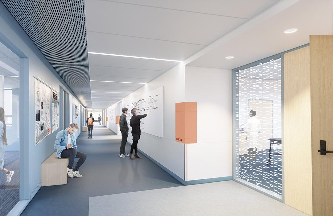 A rendering of a hallway and lab entrance within Cordley Hall