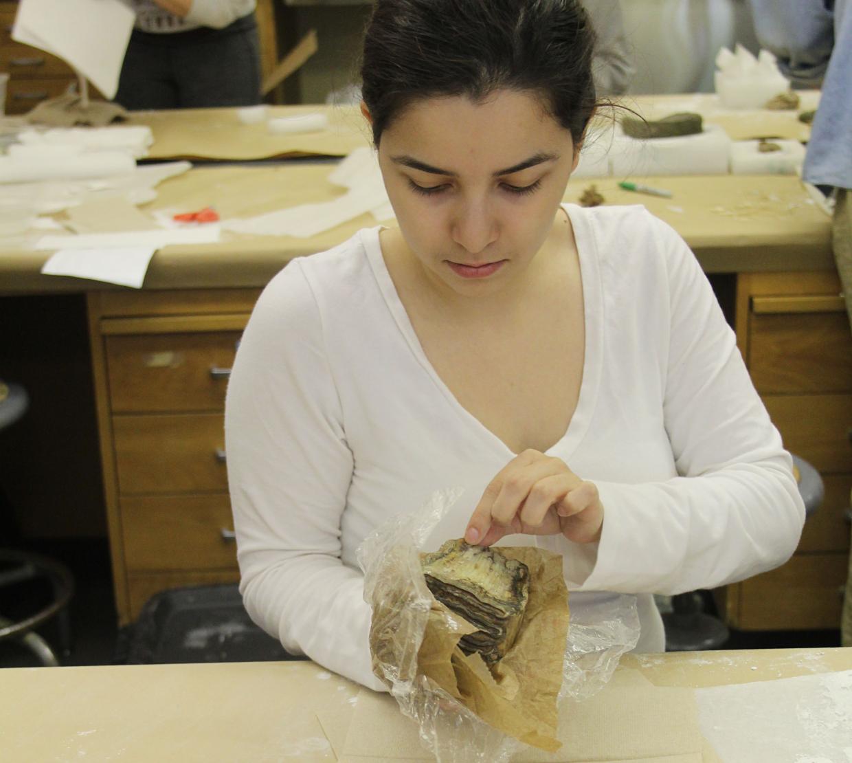 A student examines a fossil in a laboratory setting