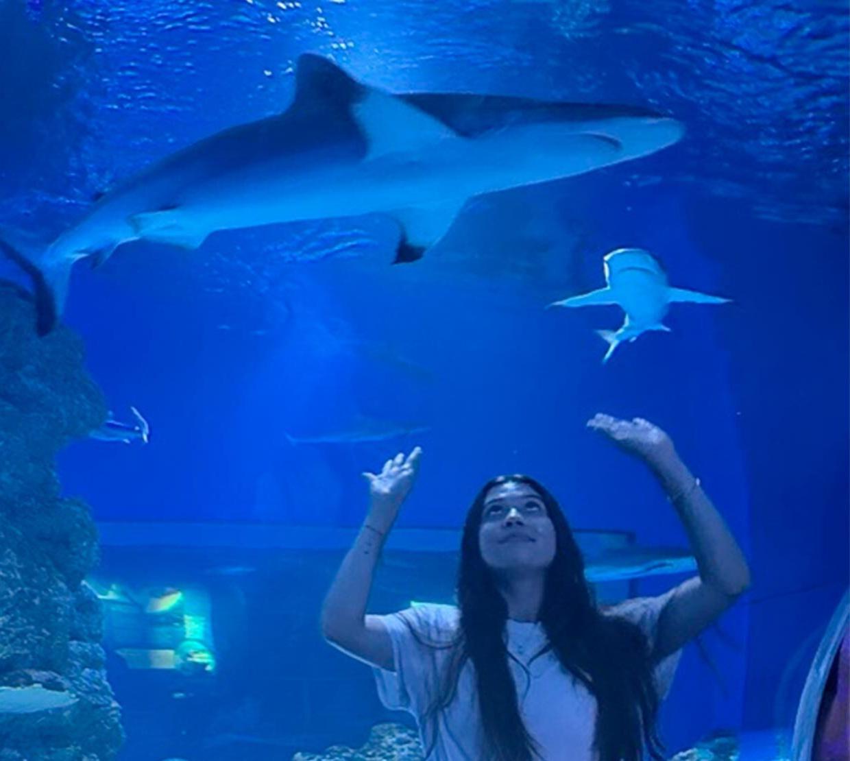 A woman in an aquarium looking at a shark.