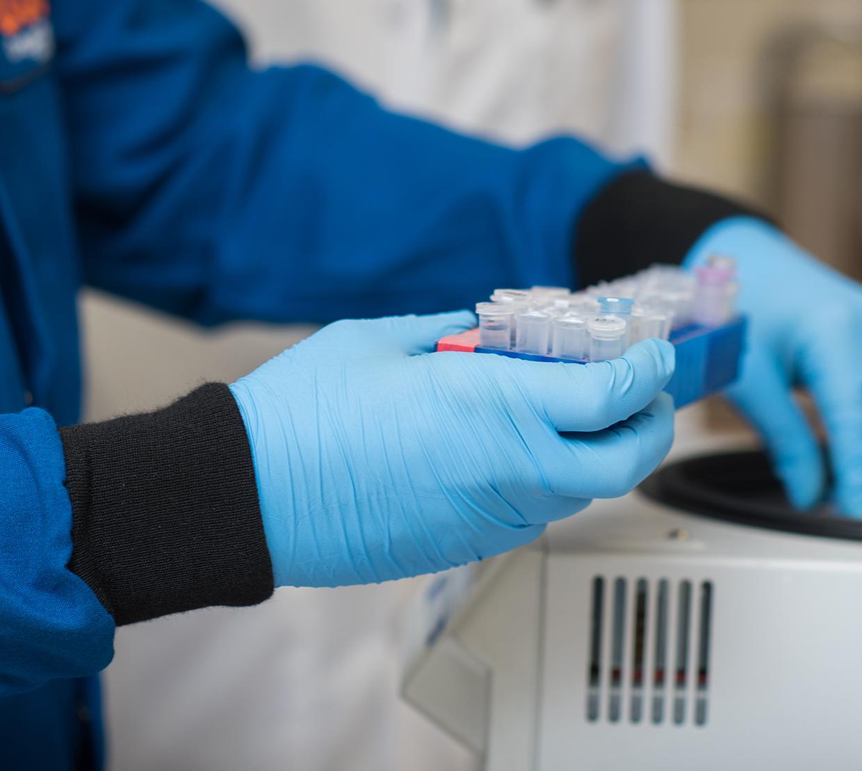 Photo of someone with blue gloves holding a sample in a lab.