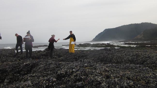 Researchers on the coast