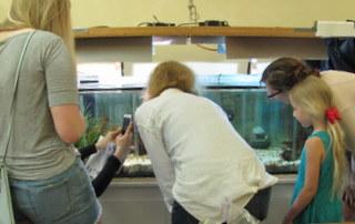 A group of kids and researchers watching anemones in a tank.