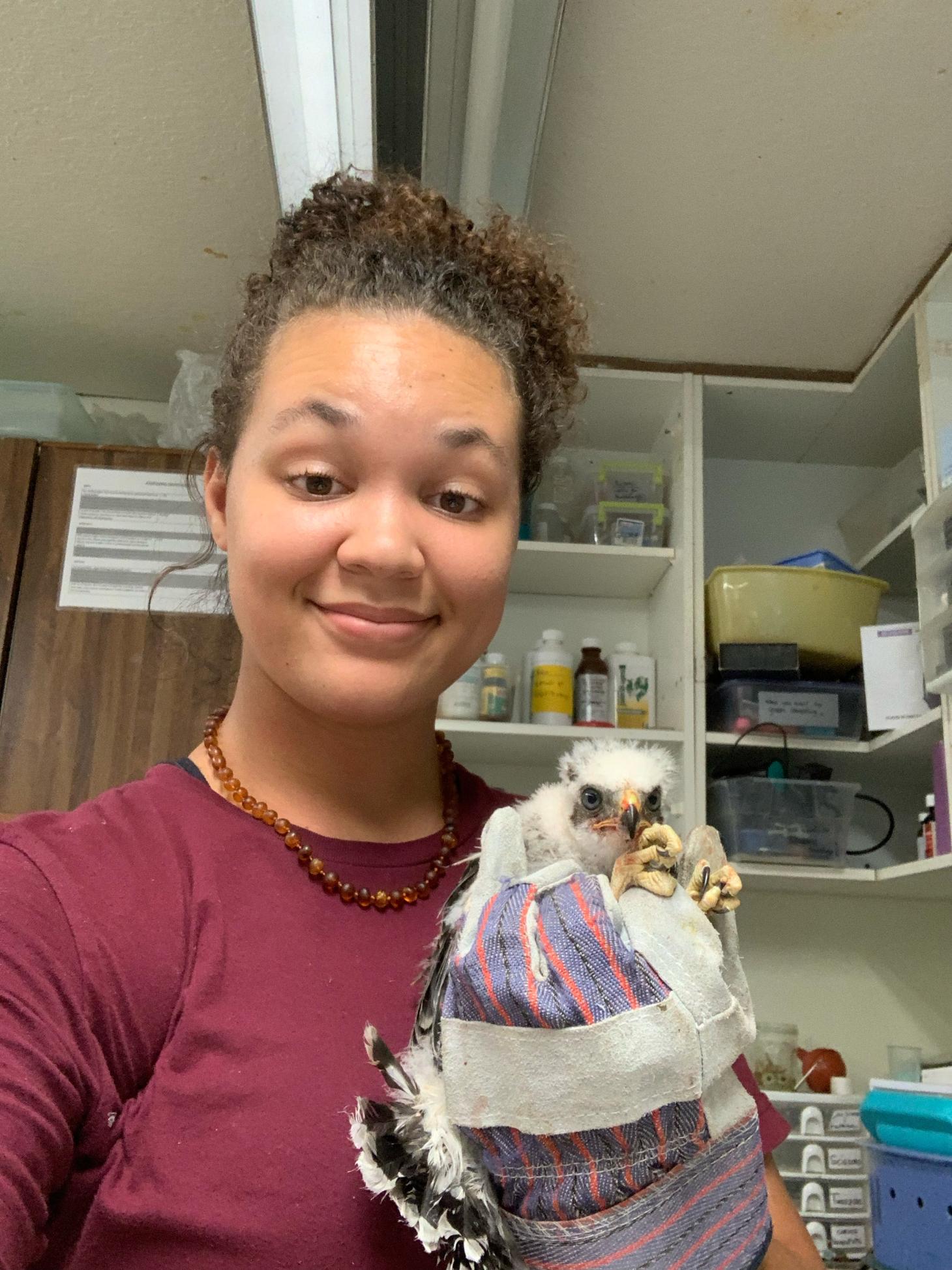In a selfie provided by Camrie, she holds a chick of a large bird breed in a gloved hand and smiles at the camera. She is wearing a Wildlife Images Tshirt. 