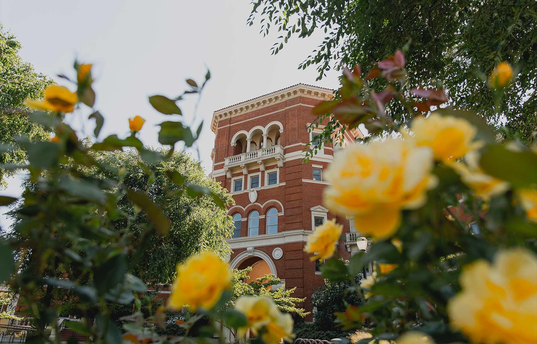 Weatherford Hall peering through yellow roses.