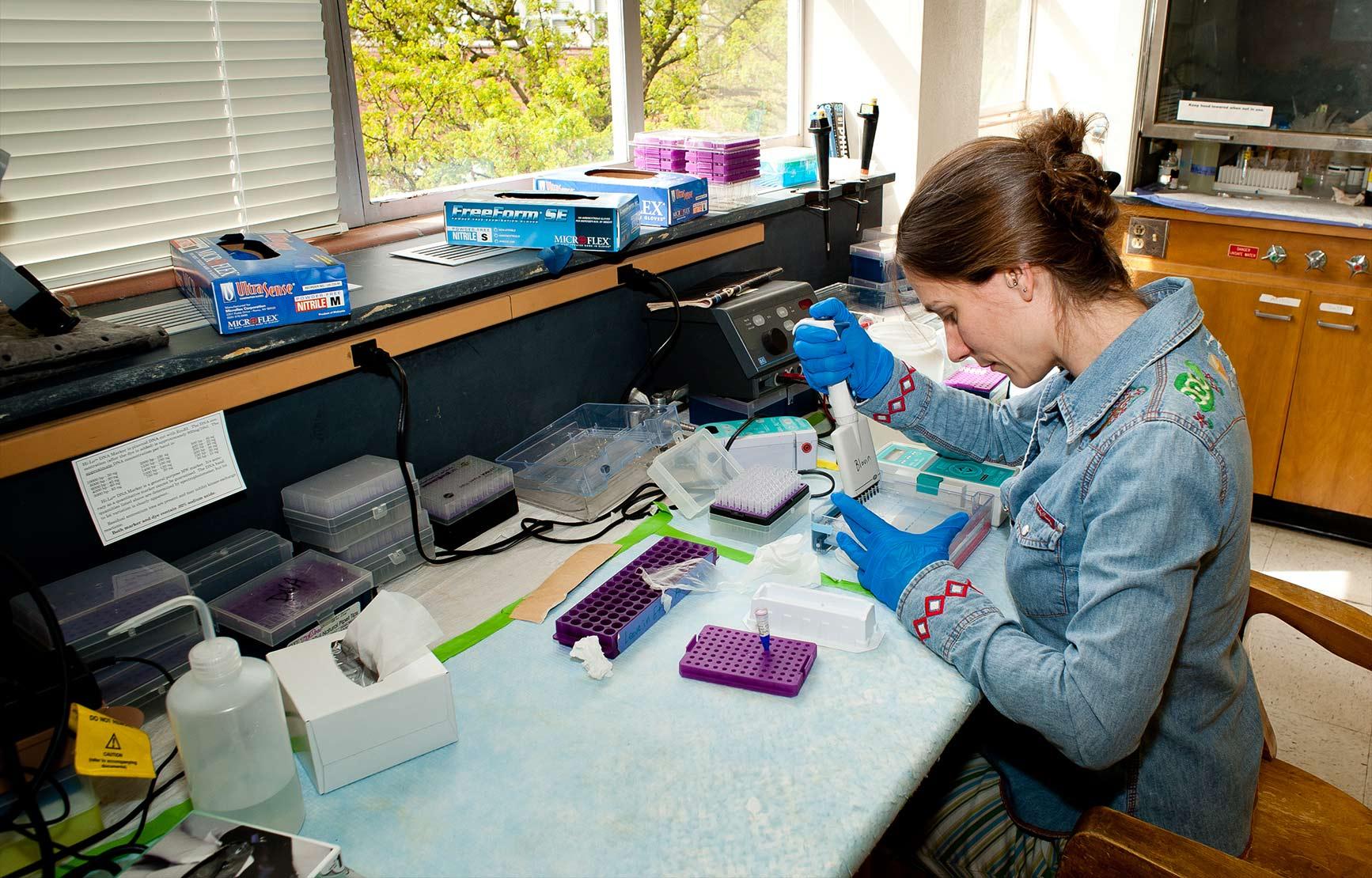 A biologist working with lab samples in Michael Blouin's snail research lab.
