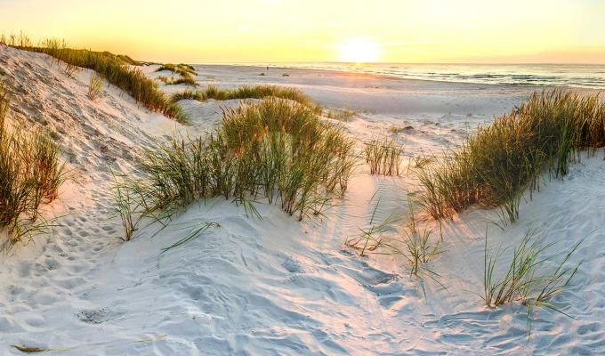 Oregon coast sand dunes on beach during sunset