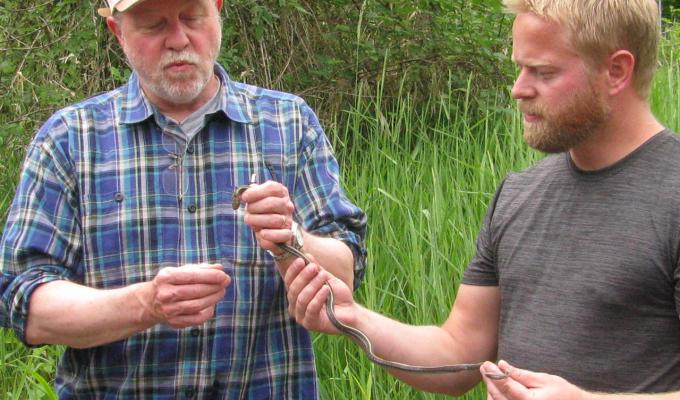Robert Mason holding garter snake with colleague in field