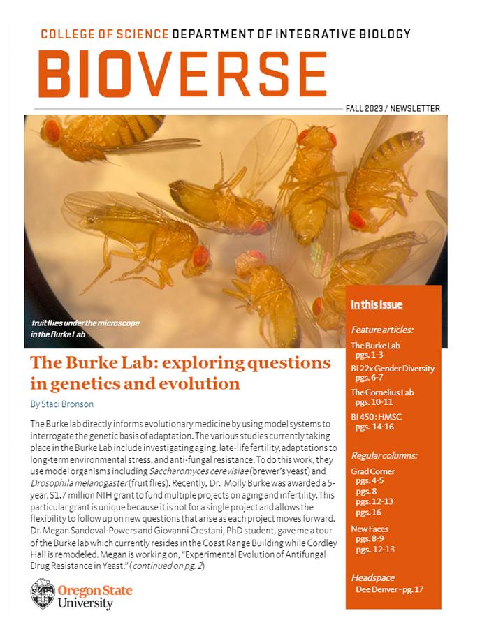 The cover of Bioverse, 2023 issue, showing fruit flies under a microscope