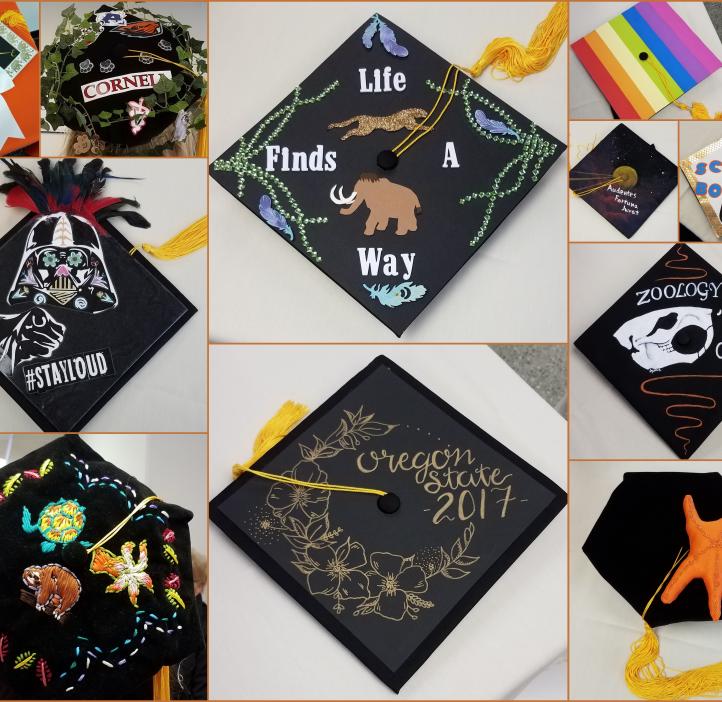 A collage of Mortarboards. Highlights include the phrases "Life finds a way", "Law school bound", and a hand-embroidered sloth and sea turtle.