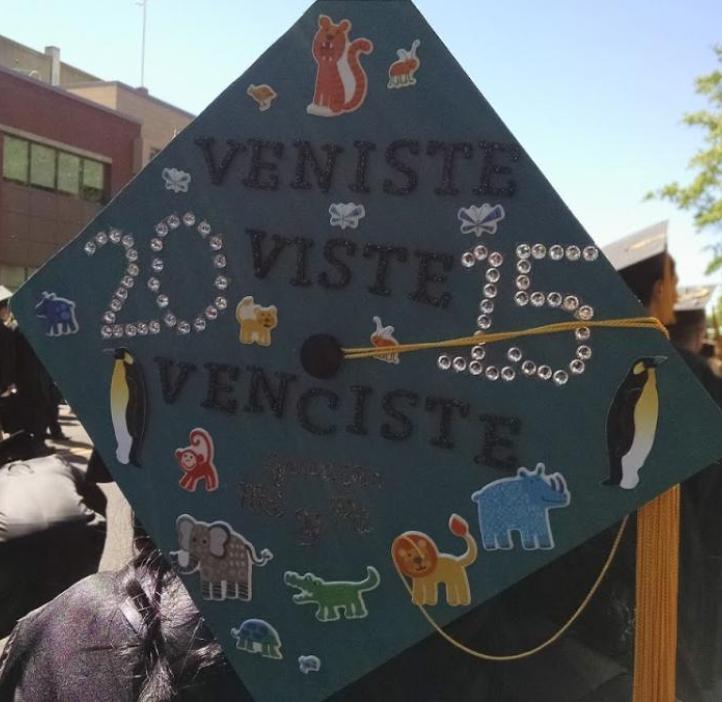 Mortarboard decorated with animals and the saying "veniste viste venciste"