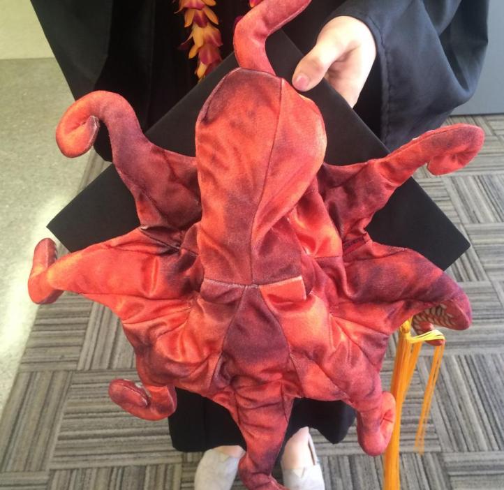 Mortarboard decorated with a plush octopus